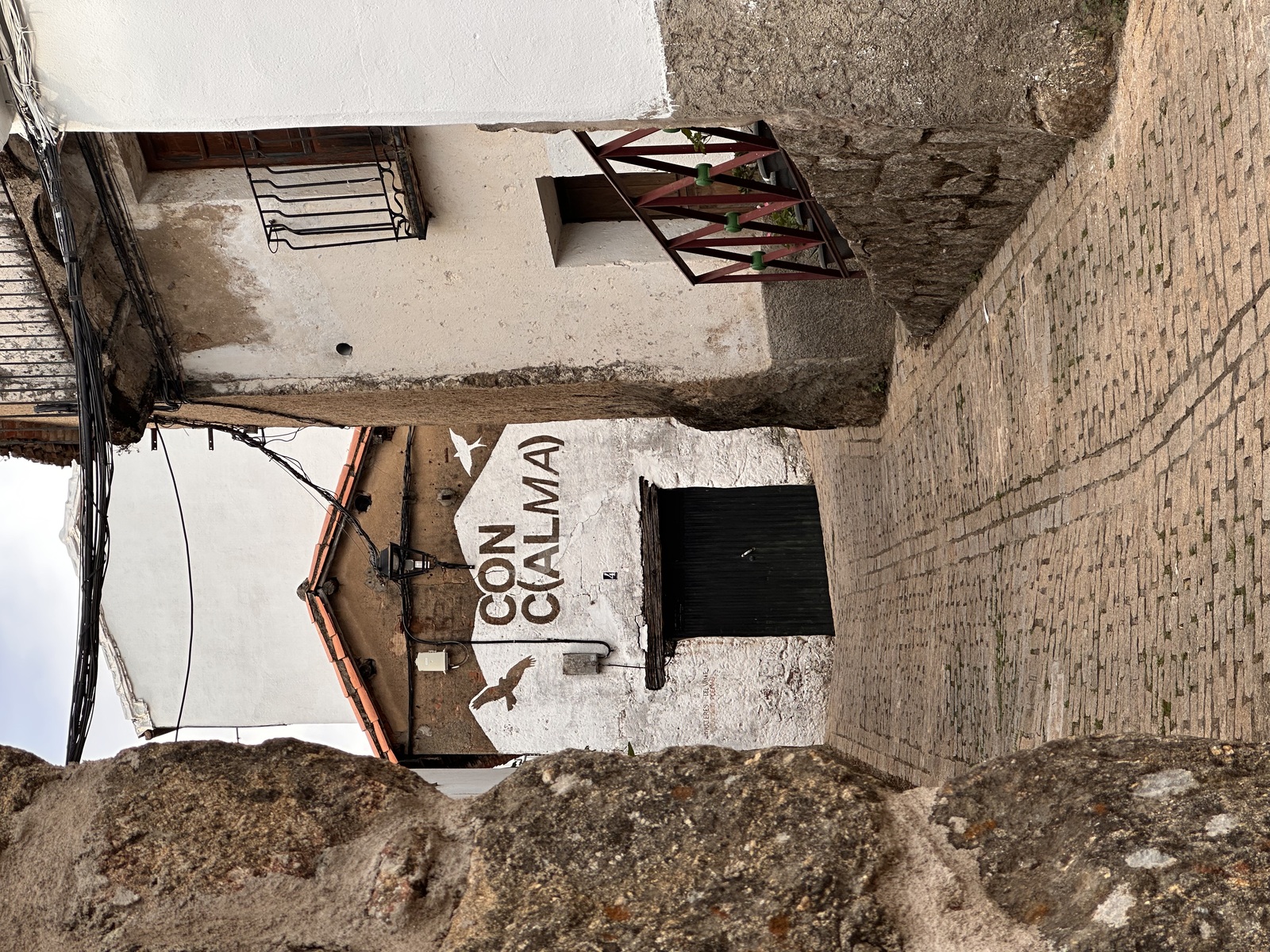 La Toza — image 2